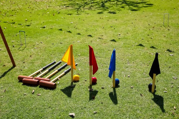 play the croquet game set