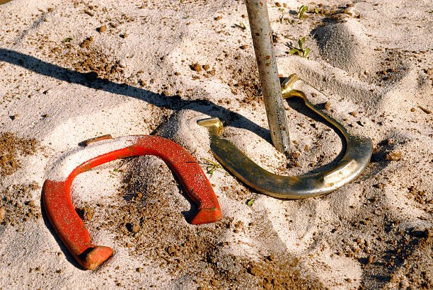 Horseshoe ring toss