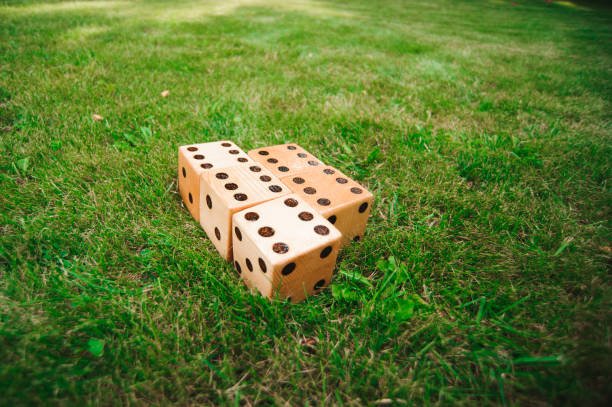 lawn dice game