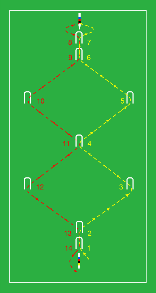 Basic Rules and Gameplay of Backyard Croquet