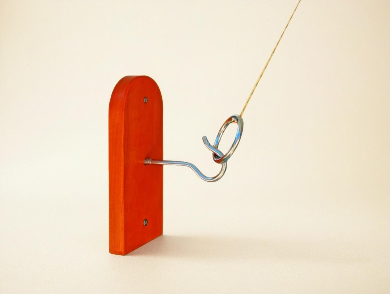 hook and ring game-fotor